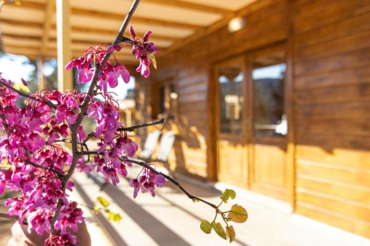Agrelia Homes Dragano المظهر الخارجي الصورة